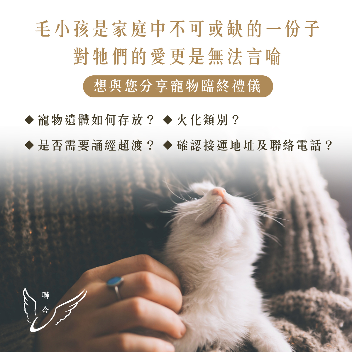 寵物臨終禮儀