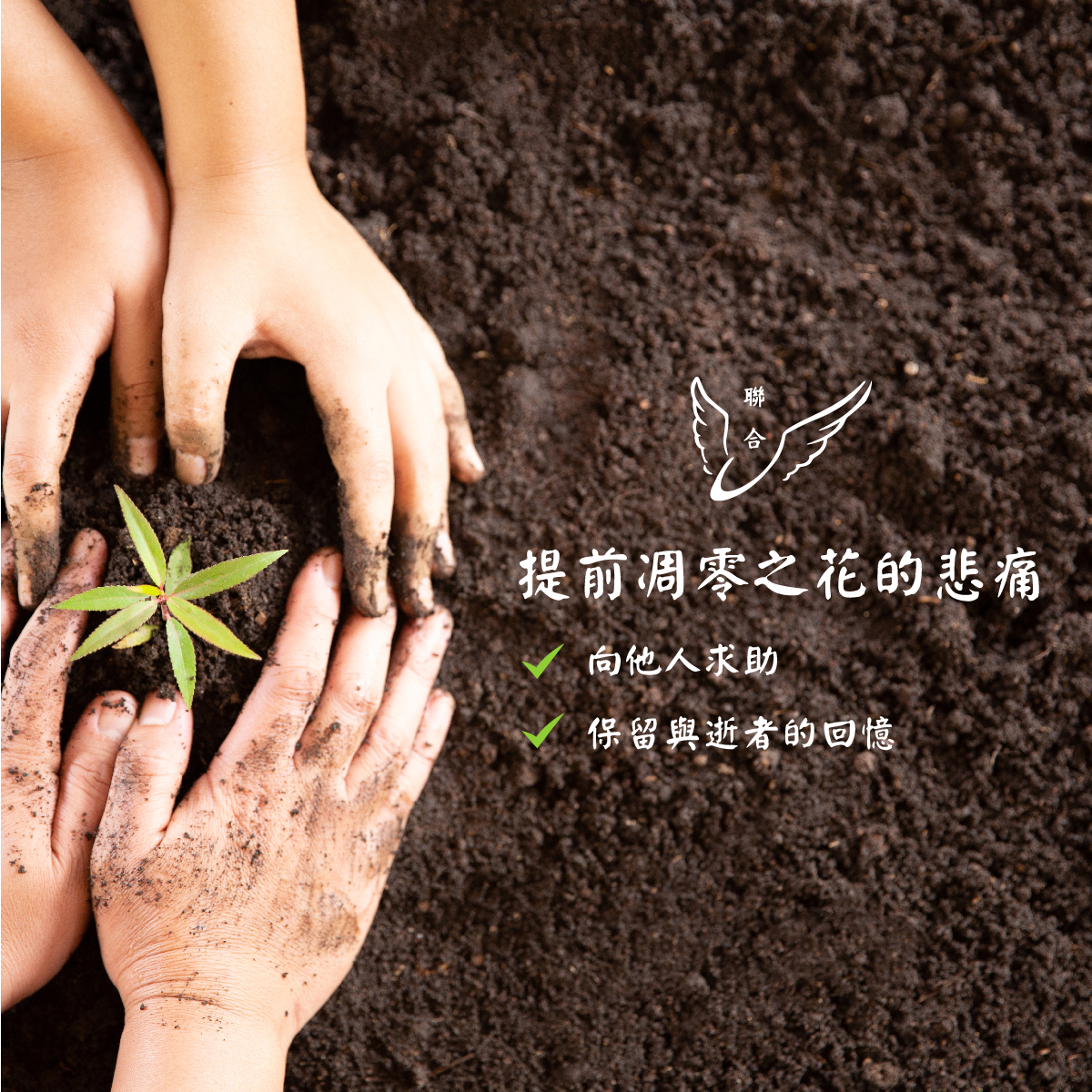 聯合生命：提前凋零之花的悲痛