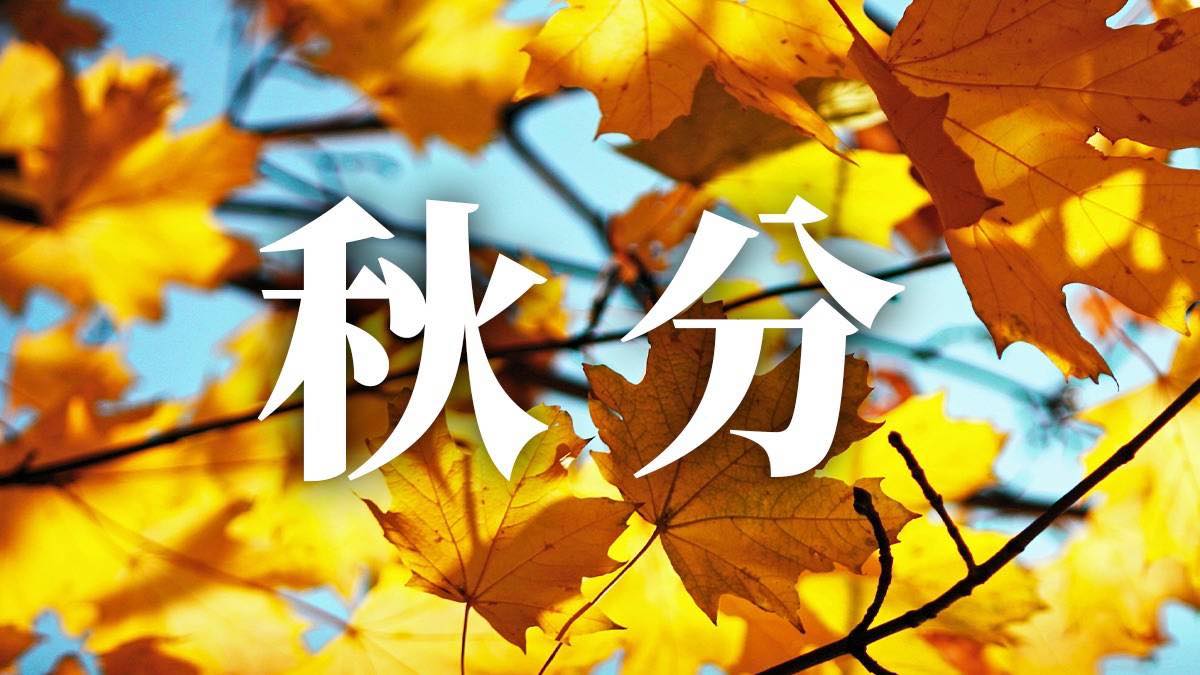 聯合生命:秋分